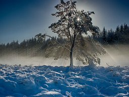 IMGP9391_HDR_Vinterstemning